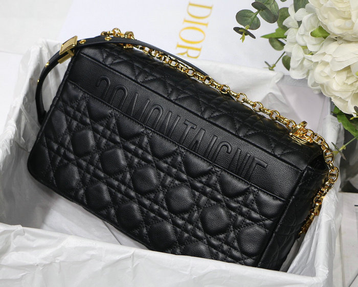 Dior Caro Bag Black DM8016