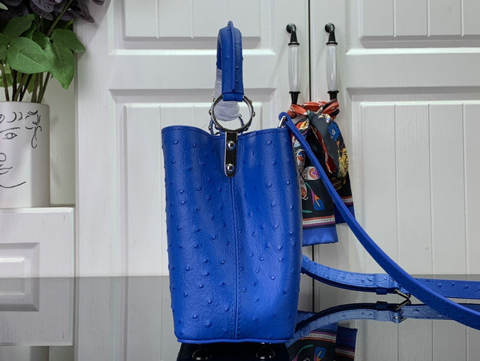 Louis Vuitton Embossed Ostrich Capucines Blue N93419