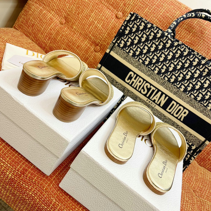 Dior Sandals DS04066