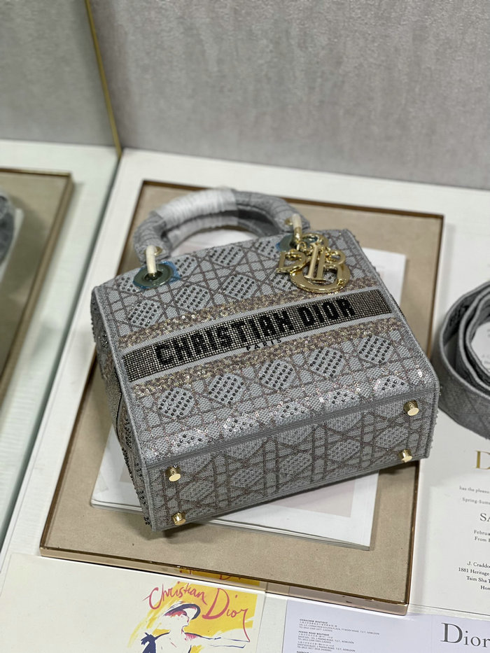Medium Lady Embroidered Canvas D-lite Bag DM0556