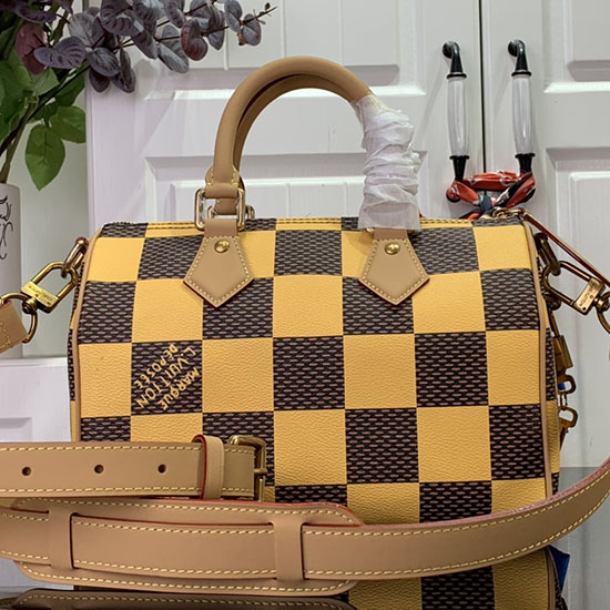 Louis Vuitton Speedy 25 Bandouliere Damier Pop N40584