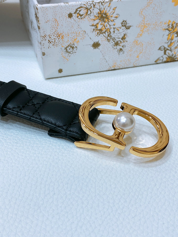 Dior Belt WBD62804