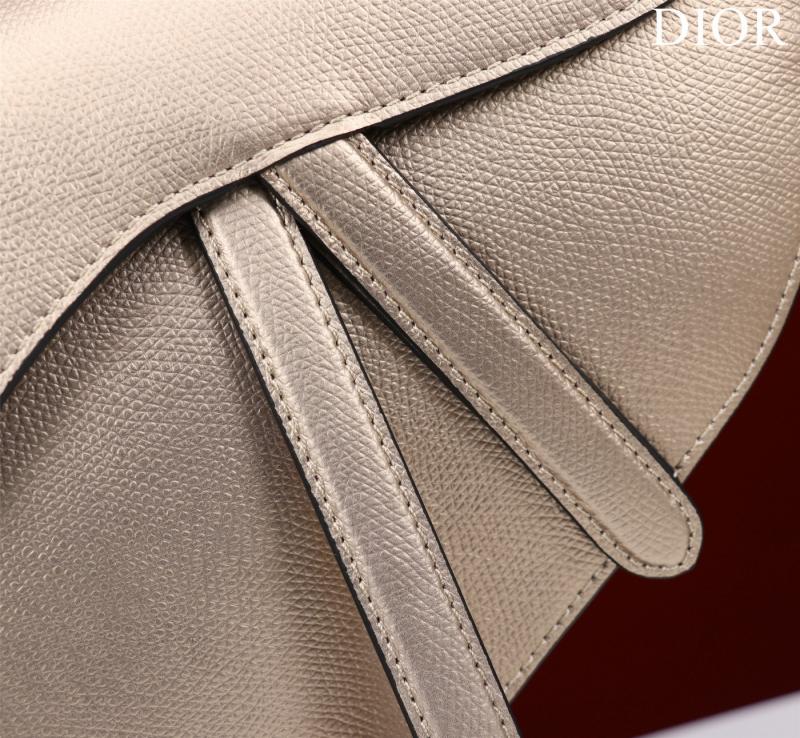 Dior Saddle Bag With Strap Gold M0455