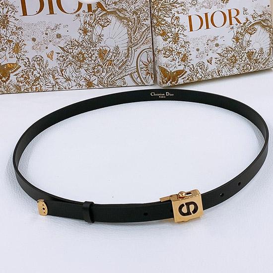 Dior Belt WDB60206