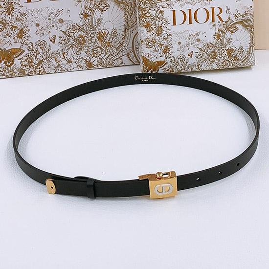 Dior Belt WDB60207