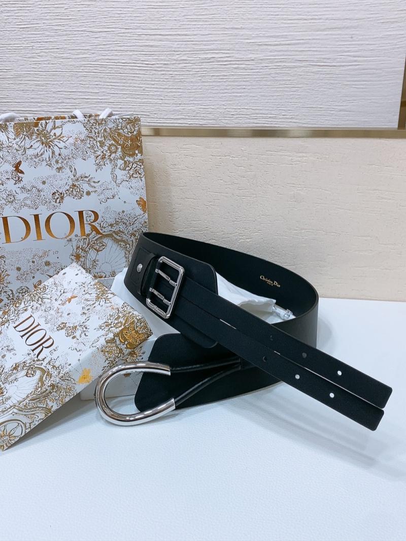 Dior Nolita Belt WDB61001