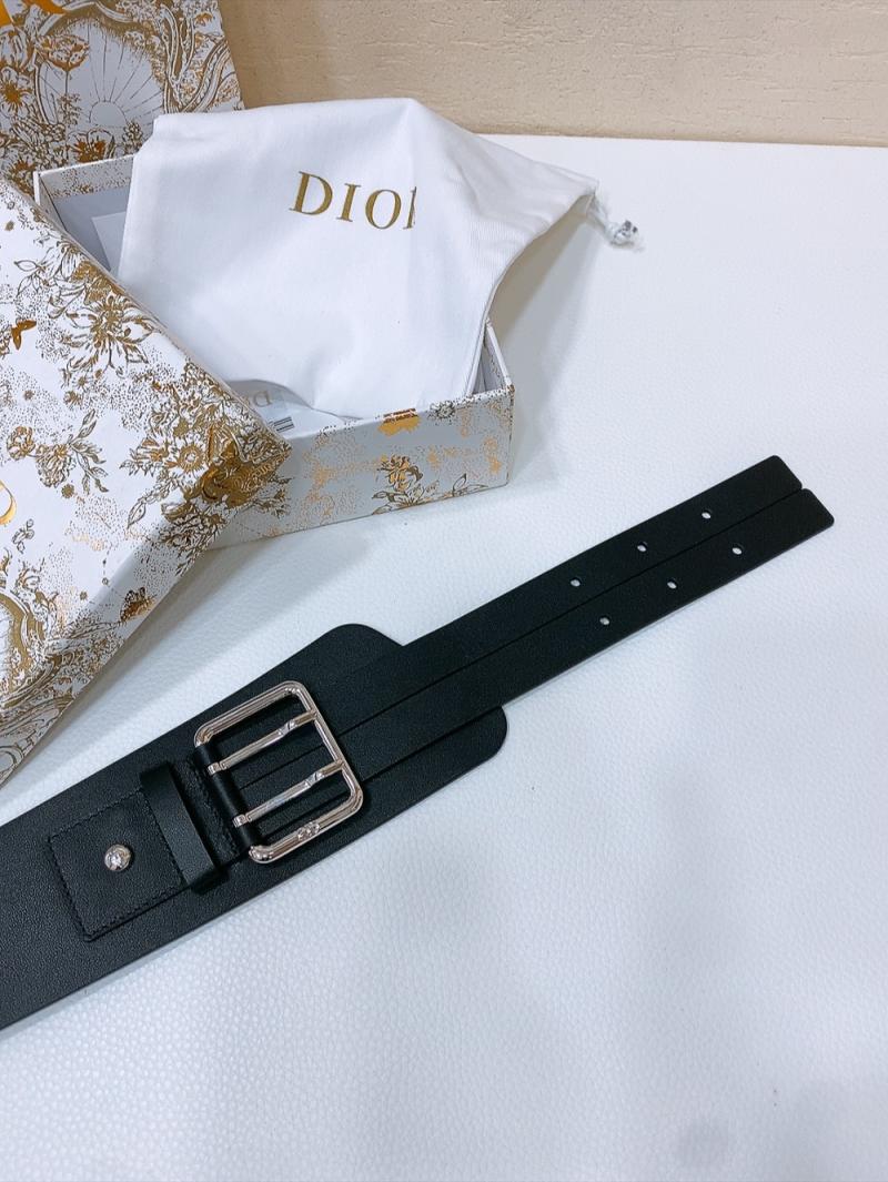 Dior Nolita Belt WDB61001