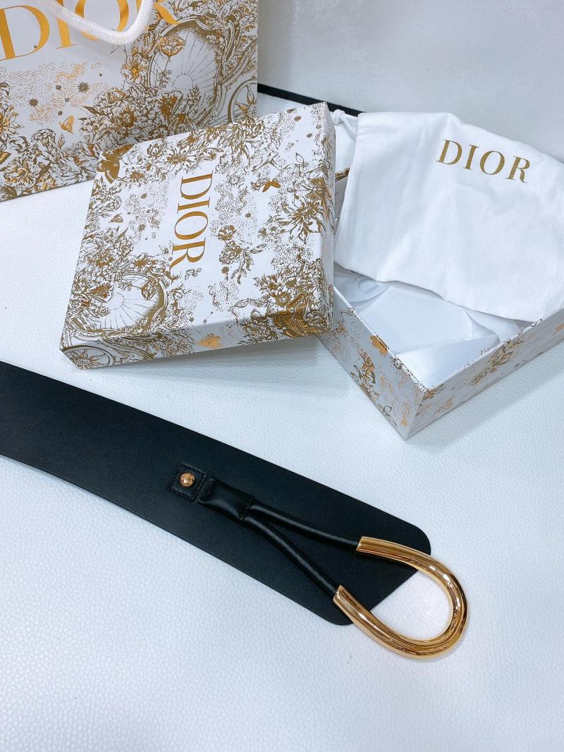Dior Nolita Belt WDB61002