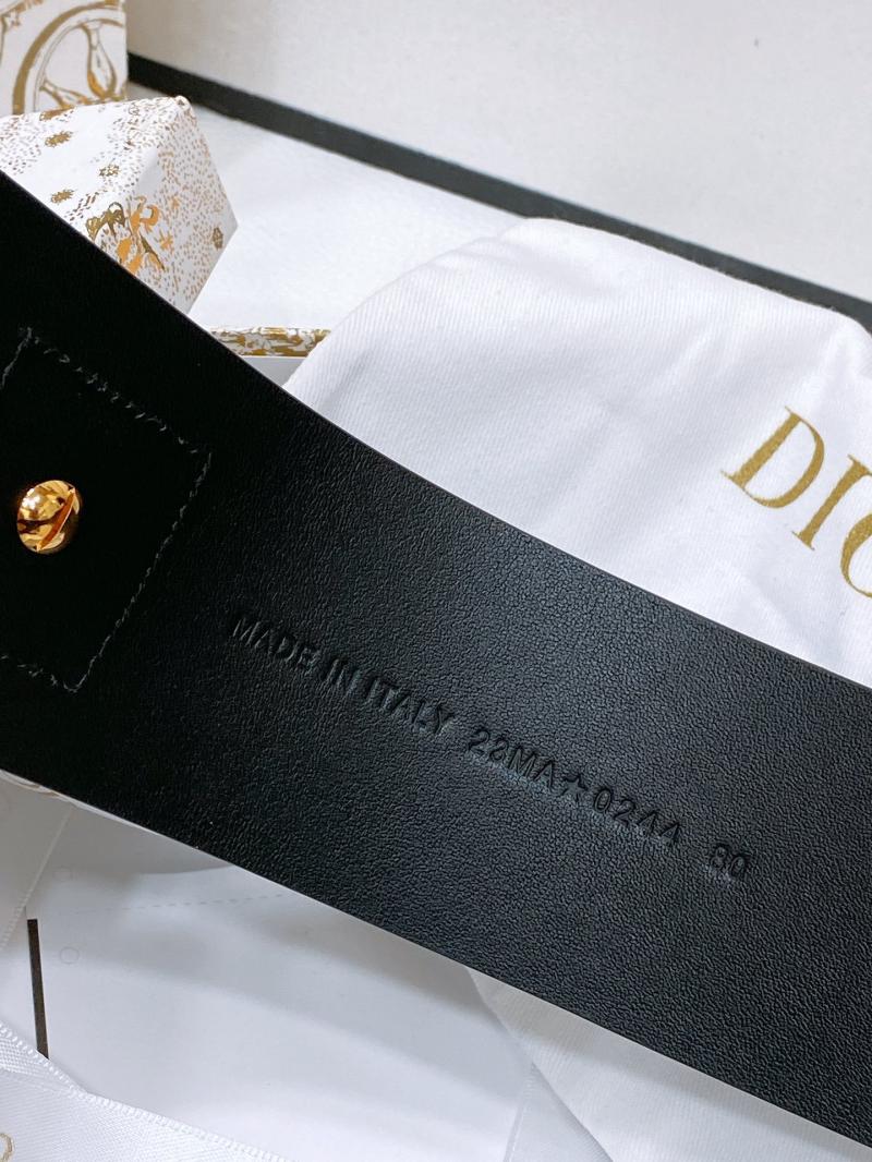Dior Nolita Belt WDB61002