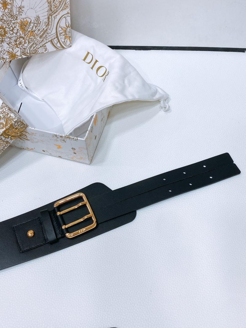 Dior Nolita Belt WDB61002