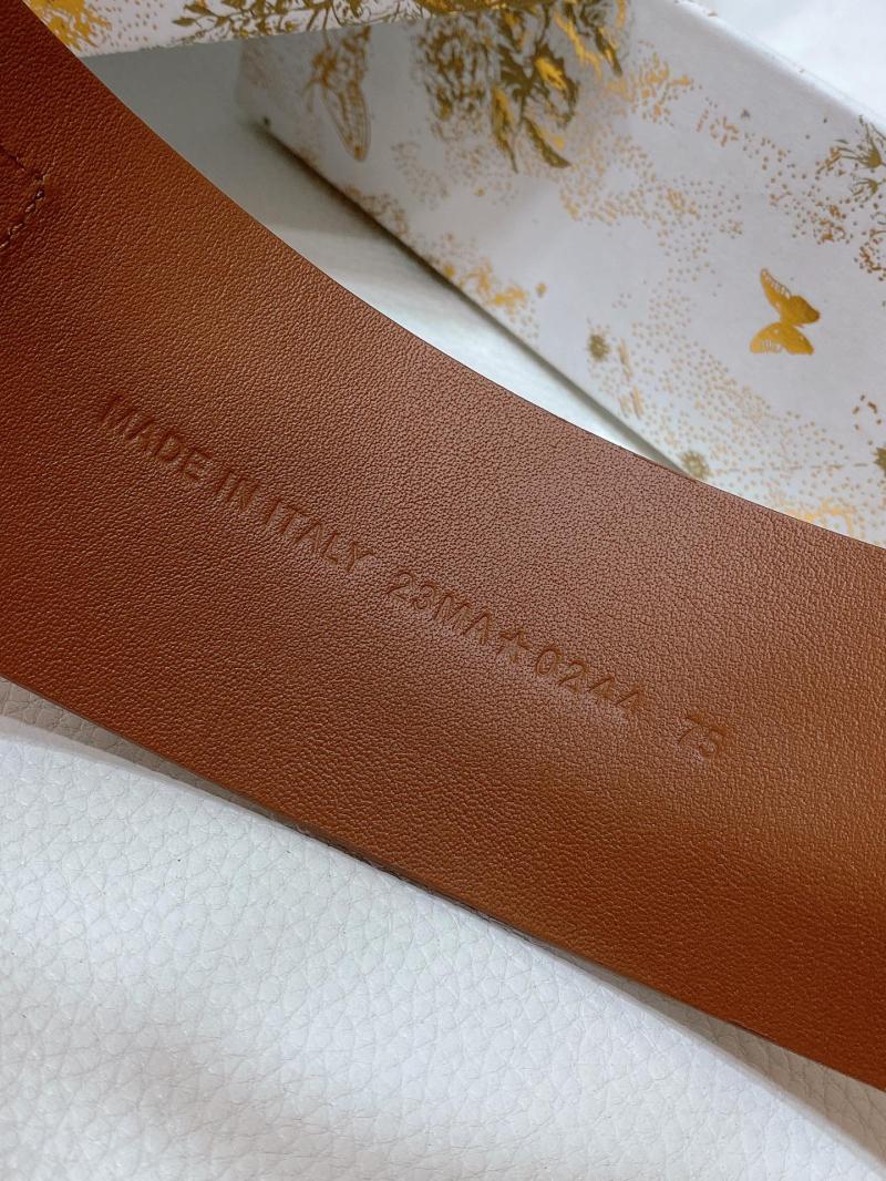 Dior Nolita Belt WDB61003