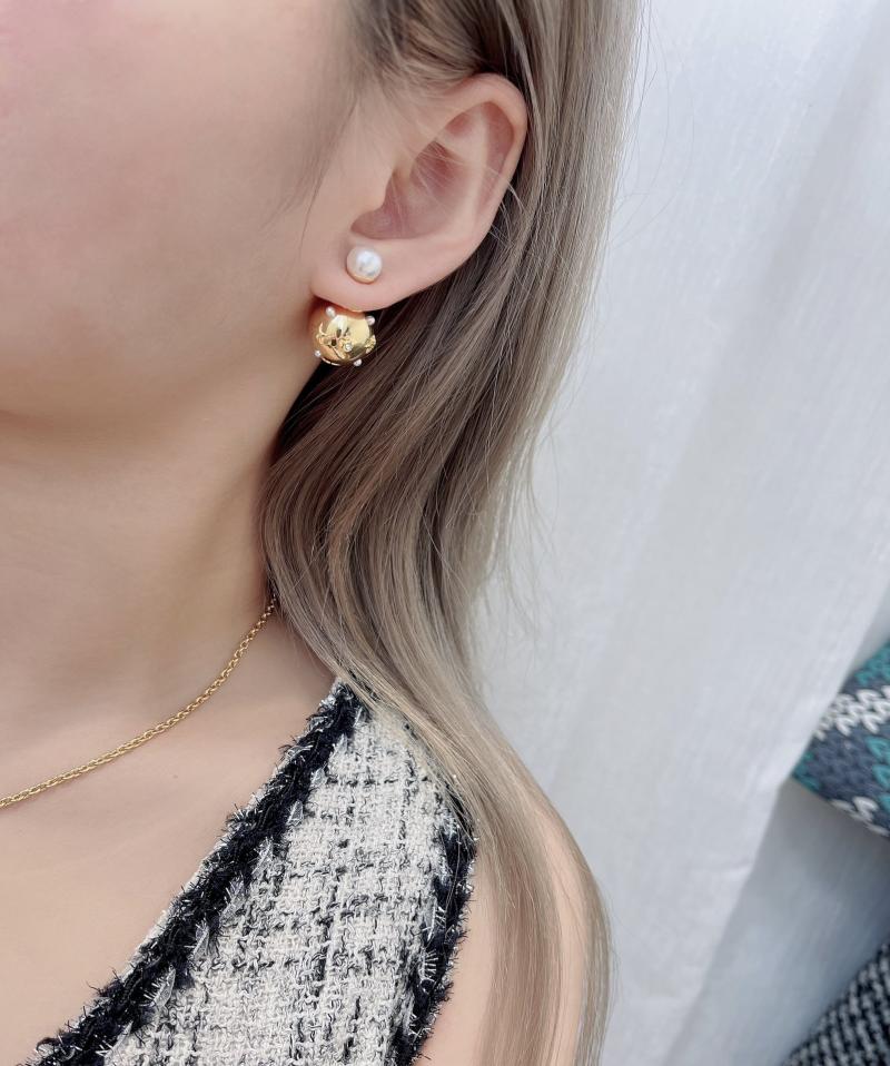 Dior Earrings YDE62901
