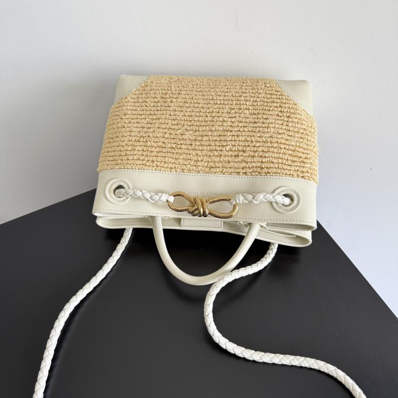 Bottega Veneta Raffia Small Andiamo Sea salt 827478