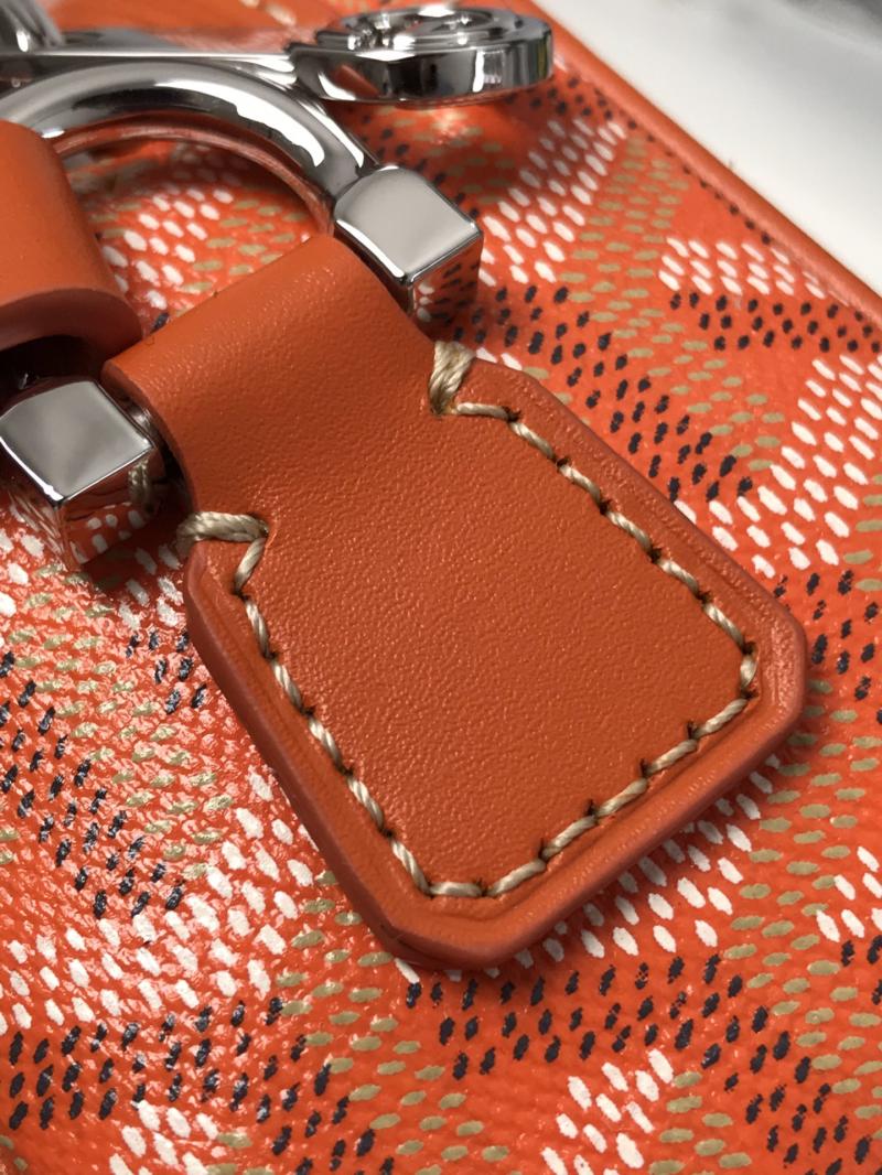Goyard Camera Bag Orange G020189