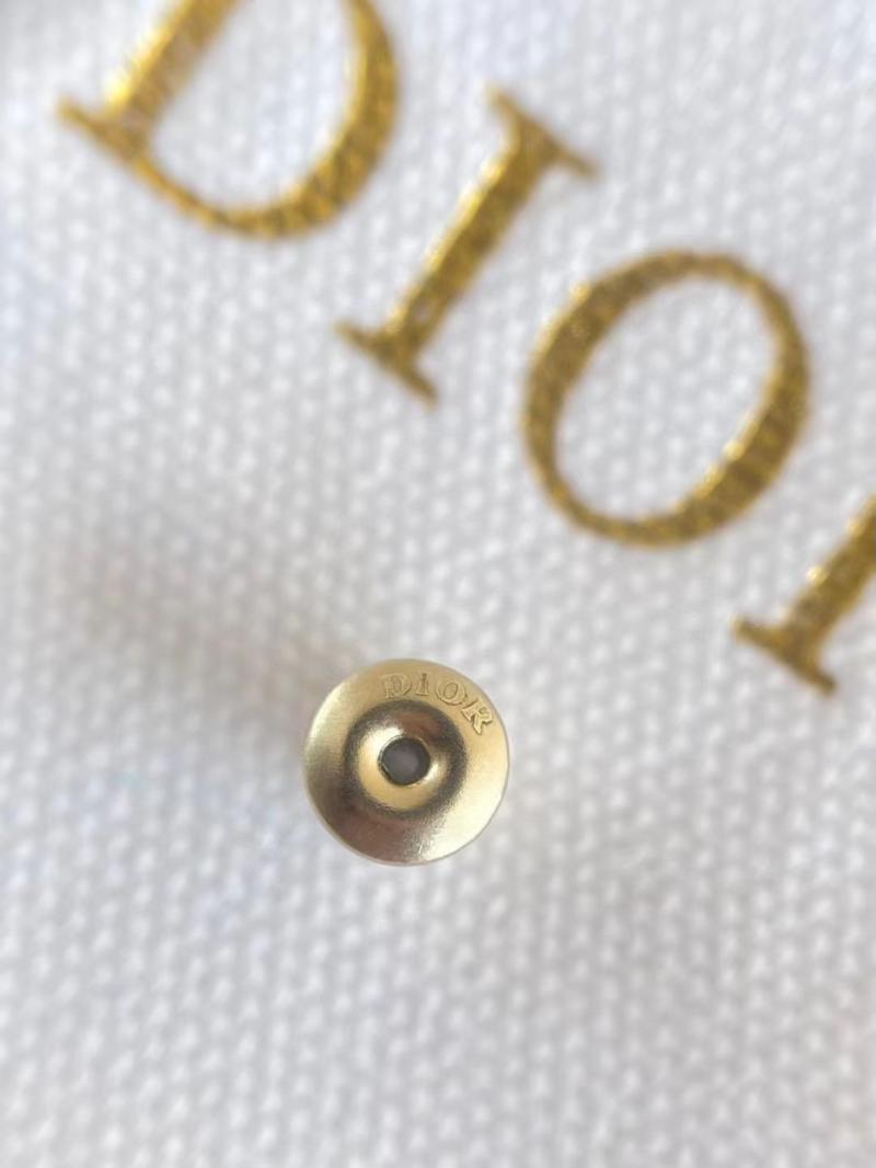 Dior Earrings YDE112302