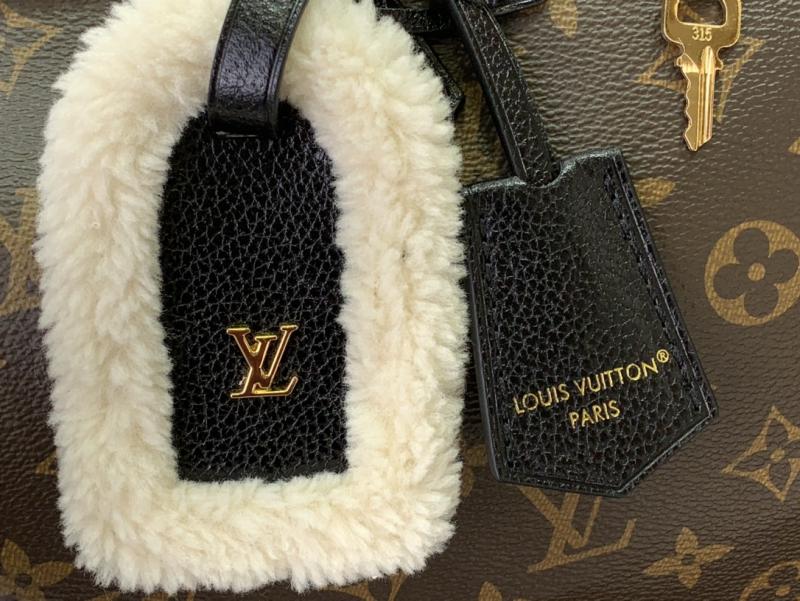 Louis Vuitton Speedy Soft 30 Teddy M26326
